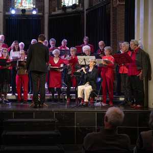 boyhazes-20251109-1120-websize